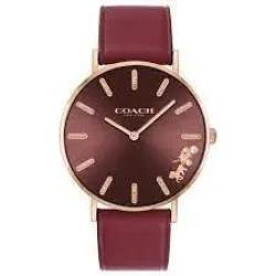 كوتچ - 14503851